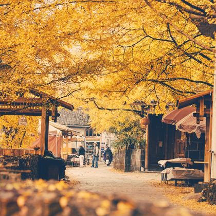 腾冲+瑞丽+芒市+西双版纳10日9晚跟团游 腾冲+瑞丽+芒市+西双版纳10日9晚跟团游