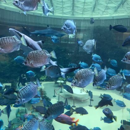 美国新奥尔良5日4晚私家团 美国新奥尔良5日4晚私家团