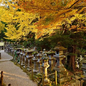日本6日5晚私家团 日本6日5晚私家团