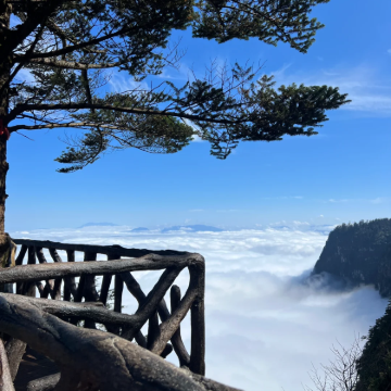 成都大熊猫繁育研究基地+乐山大佛+峨眉山+瓦屋山3日2晚私家团 成都大熊猫繁育研究基地+乐山大佛+峨眉山+瓦屋山3日2晚私家团