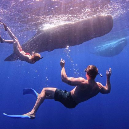 毛里求斯7日5晚私家团 毛里求斯7日5晚私家团