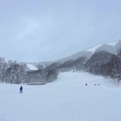 北海道6日5晚自由行 北海道6日5晚自由行