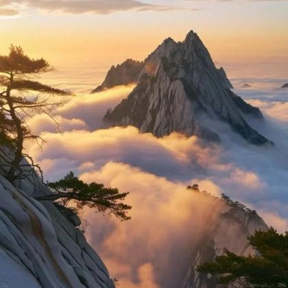 西安兵马俑+华清宫+华山+大唐不夜城4日3晚跟团游 西安兵马俑+华清宫+华山+大唐不夜城4日3晚跟团游