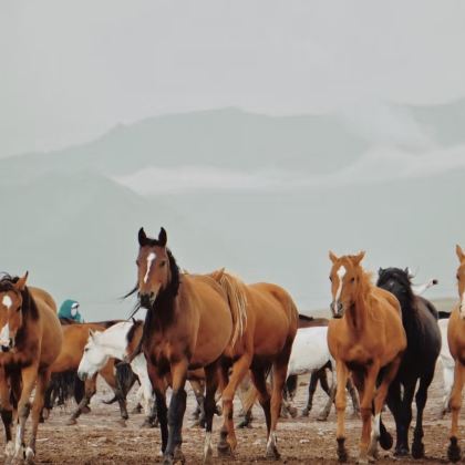 张掖6日5晚私家团 张掖6日5晚私家团