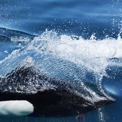 日本北海道6日5晚拼小团 日本北海道6日5晚拼小团