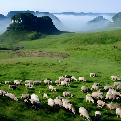 毕节+阿西里西大草原+阿西里西韭菜坪+织金洞+平远古镇+吊水岩瀑布+9洞18河景区5日4晚私家团 毕节+阿西里西大草原+阿西里西韭菜坪+织金洞+平远古镇+吊水岩瀑布+9洞18河景区5日4晚私家团