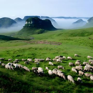 毕节+阿西里西大草原+阿西里西韭菜坪+织金洞+平远古镇+吊水岩瀑布+9洞18河景区5日4晚私家团 毕节+阿西里西大草原+阿西里西韭菜坪+织金洞+平远古镇+吊水岩瀑布+9洞18河景区5日4晚私家团