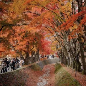 东京+富士山+箱根5日4晚私家团 东京+富士山+箱根5日4晚私家团