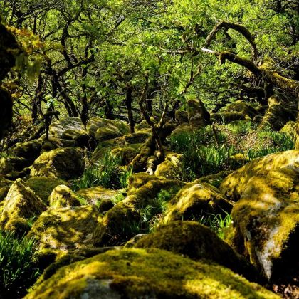 英国伦敦+伯恩矛斯+埃克塞特+巴斯+康瓦尔郡11日10晚拼小团 英国伦敦+伯恩矛斯+埃克塞特+巴斯+康瓦尔郡11日10晚拼小团