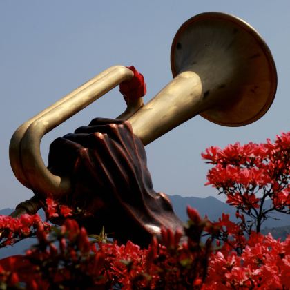 南昌+庐山+景德镇+婺源+井冈山7日6晚跟团游 南昌+庐山+景德镇+婺源+井冈山7日6晚跟团游