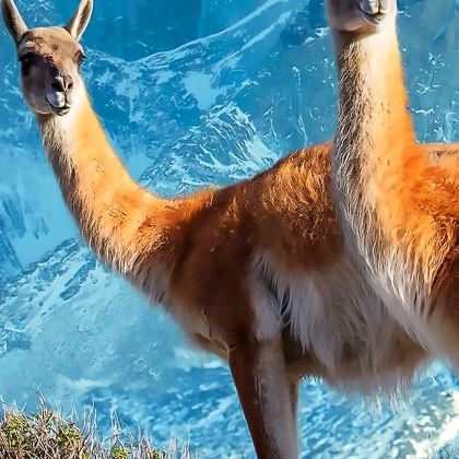 秘鲁利马+Amazonas Explorer+库斯科6日5晚私家团 秘鲁利马+Amazonas Explorer+库斯科6日5晚私家团