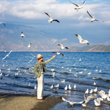 云南大理市+丽江+泸沽湖+玉龙雪山3日2晚拼小团 云南大理市+丽江+泸沽湖+玉龙雪山3日2晚拼小团