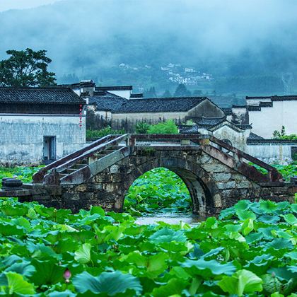 西递+宏村景区+新安江山水画廊+徽州古城3日2晚跟团游