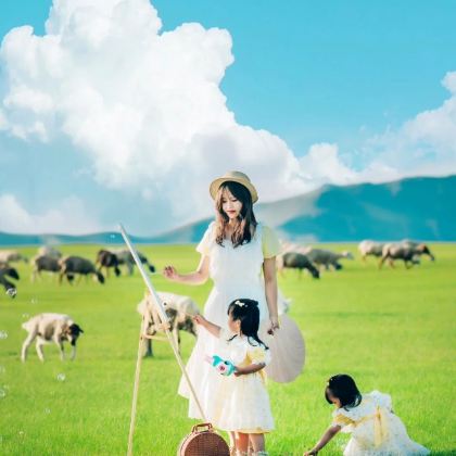 沈阳+丹东+长白山+延吉+哈尔滨+齐齐哈尔+呼伦贝尔+满洲里+根河+漠河北极村+黑河14日13晚跟团游 沈阳+丹东+长白山+延吉+哈尔滨+齐齐哈尔+呼伦贝尔+满洲里+根河+漠河北极村+黑河14日13晚跟团游