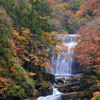 留坝+紫柏山国家森林公园5日4晚私家团 留坝+紫柏山国家森林公园5日4晚私家团