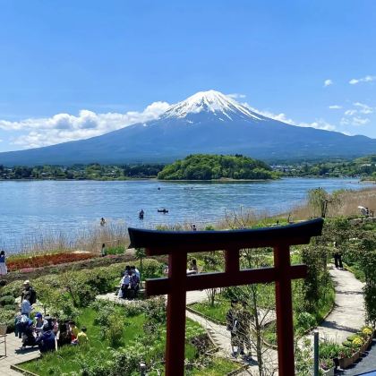 日本东京+箱根+富士山+京都+奈良市+宇治市+大阪7日6晚拼小团 日本东京+箱根+富士山+京都+奈良市+宇治市+大阪7日6晚拼小团