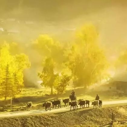 新疆乌鲁木齐+伊犁+伊昭公路+喀纳斯+禾木风景区+喀拉峻+白哈巴景区+巴音布鲁克14日13晚私家团 新疆乌鲁木齐+伊犁+伊昭公路+喀纳斯+禾木风景区+喀拉峻+白哈巴景区+巴音布鲁克14日13晚私家团