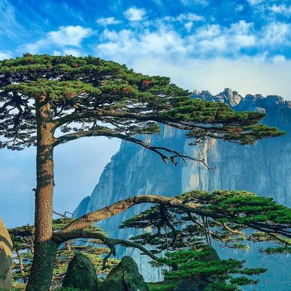 黄山风景区+新安江山水画廊+徽州古城+宏村景区4日3晚跟团游 黄山风景区+新安江山水画廊+徽州古城+宏村景区4日3晚跟团游