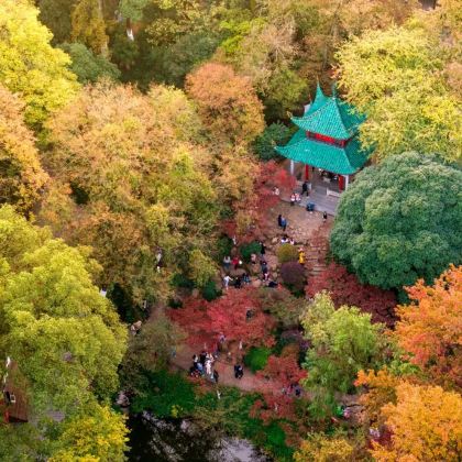 长沙橘子洲+衡山+韶山旅游区+岳阳楼6日5晚跟团游 长沙橘子洲+衡山+韶山旅游区+岳阳楼6日5晚跟团游