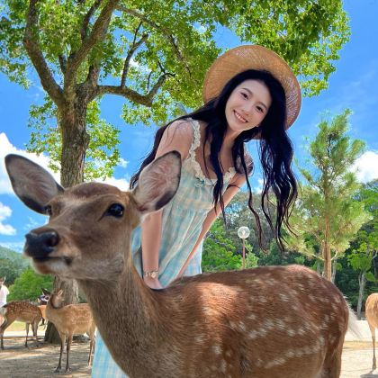 日本大阪府+京都府+奈良县6日5晚自由行 日本大阪府+京都府+奈良县6日5晚自由行