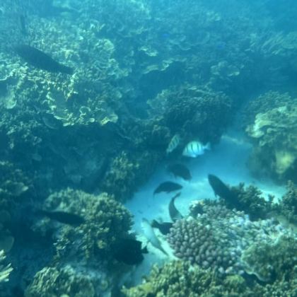 瓦努阿图维拉港+塔纳岛5日4晚私家团 瓦努阿图维拉港+塔纳岛5日4晚私家团