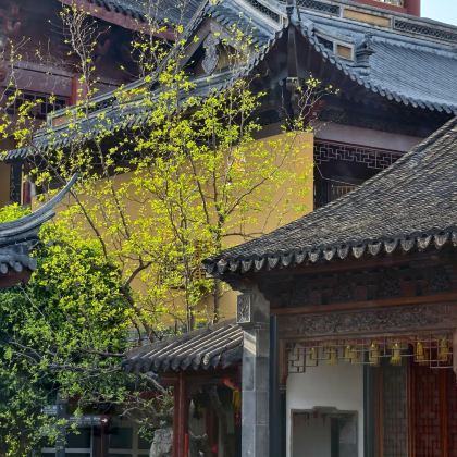 无锡+无锡市太湖鼋头渚风景区+灵山胜境+青果巷+天宁寺3日2晚私家团 无锡+无锡市太湖鼋头渚风景区+灵山胜境+青果巷+天宁寺3日2晚私家团