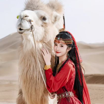 宁夏银川+中卫6日5晚拼小团 宁夏银川+中卫6日5晚拼小团