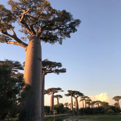 肯尼亚+赞比亚10日9晚私家团 肯尼亚+赞比亚10日9晚私家团