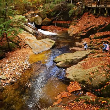 光雾山旅游景区+米仓山国家森林公园+十八月潭景区+汉中龙头山国际旅游度假区+情人谷+留坝千年银杏树7日6晚私家团 光雾山旅游景区+米仓山国家森林公园+十八月潭景区+汉中龙头山国际旅游度假区+情人谷+留坝千年银杏树7日6晚私家团