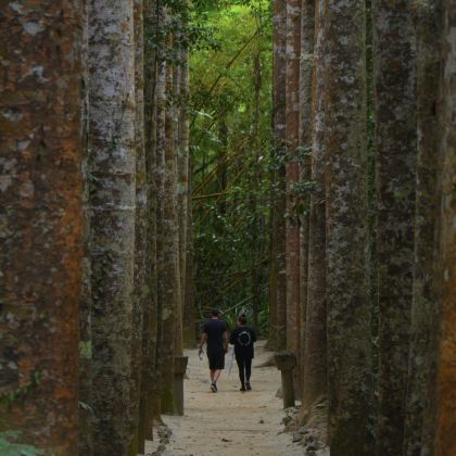 澳大利亚凯恩斯5日4晚私家团 澳大利亚凯恩斯5日4晚私家团