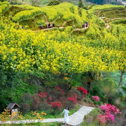 江西南昌+庐山+景德镇+鄱阳湖+婺源篁岭+三清山风景区+龙虎山风景区7日6晚跟团游