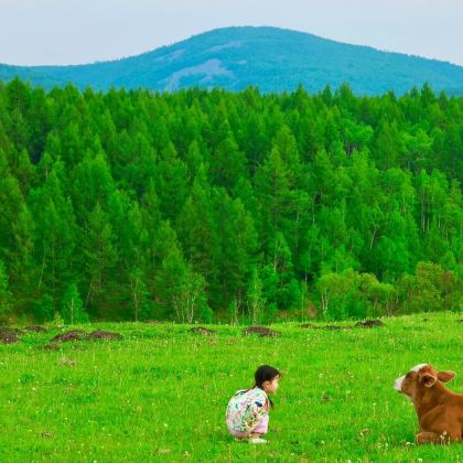 呼伦贝尔+满洲里+额尔古纳+恩和俄罗斯族民族乡+阿尔山8日7晚私家团