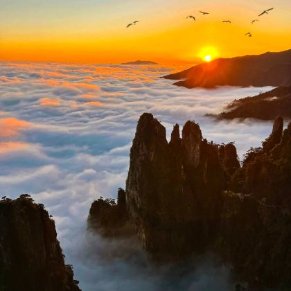 东江湖旅游区+高椅岭旅游区+莽山·五指峰景区3日2晚私家团