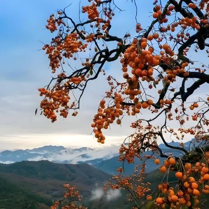 余姚+河姆渡遗址+宁波蓬莱岛+浙东小九寨+四明山国家森林公园+丹山赤水3日2晚私家团 余姚+河姆渡遗址+宁波蓬莱岛+浙东小九寨+四明山国家森林公园+丹山赤水3日2晚私家团