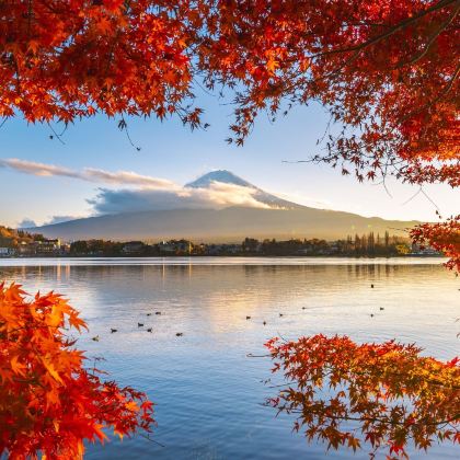 日本大阪+京都+富士山+东京7日6晚拼小团 日本大阪+京都+富士山+东京7日6晚拼小团