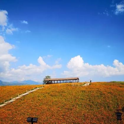 西宁+佑宁寺+彩虹部落土族园+油嘴湾花海+北山国家森林公园+扎碾公路+瞿昙寺+中国柳湾彩陶博物馆5日4晚私家团 西宁+佑宁寺+彩虹部落土族园+油嘴湾花海+北山国家森林公园+扎碾公路+瞿昙寺+中国柳湾彩陶博物馆5日4晚私家团