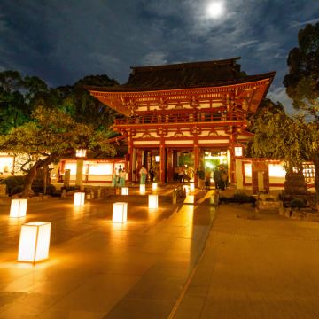 日本福冈+熊本5日4晚私家团 日本福冈+熊本5日4晚私家团