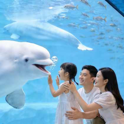 珠海长隆4日3晚私家团 珠海长隆4日3晚私家团