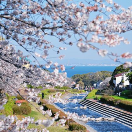 日本大阪+东京+别府+箱根10日9晚私家团 日本大阪+东京+别府+箱根10日9晚私家团