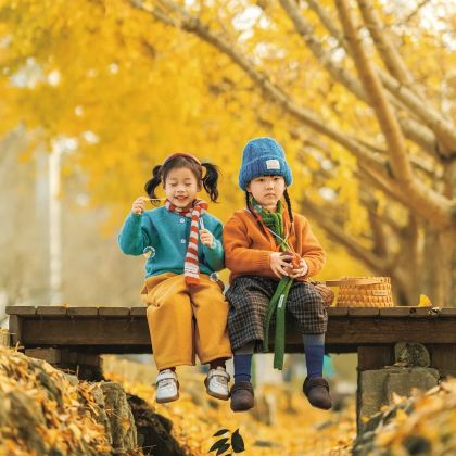 哈尔滨+伊春5日4晚私家团 哈尔滨+伊春5日4晚私家团