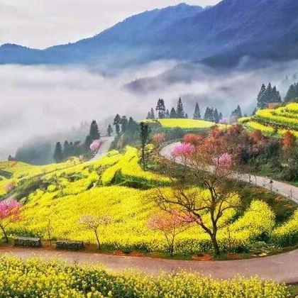 宏村+西递+婺源篁岭+新安江山水画廊+徽州古城5日4晚跟团游 宏村+西递+婺源篁岭+新安江山水画廊+徽州古城5日4晚跟团游