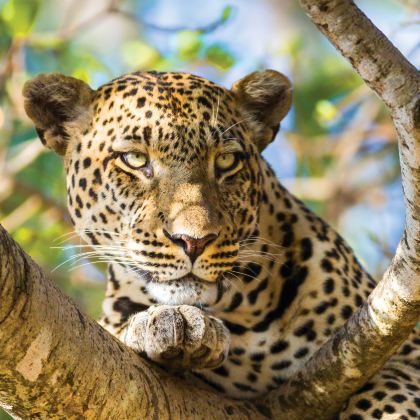 肯尼亚内罗毕10日9晚私家团 肯尼亚内罗毕10日9晚私家团