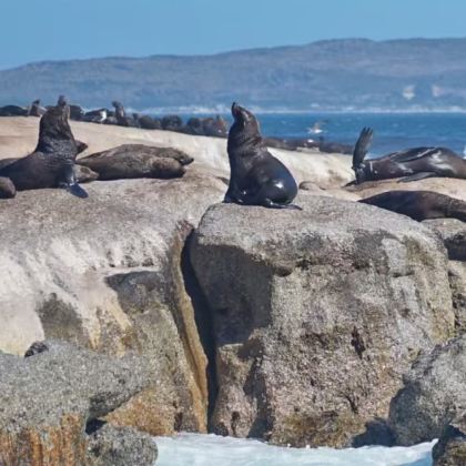 南非+太阳城+克鲁格国家公园12日9晚私家团 南非+太阳城+克鲁格国家公园12日9晚私家团