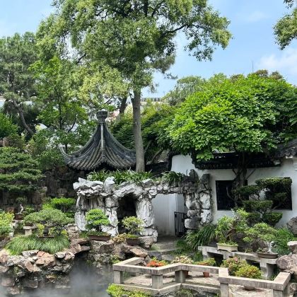上海+杭州+苏州+南京+东方明珠+豫园+西湖风景名胜区6日5晚私家团 上海+杭州+苏州+南京+东方明珠+豫园+西湖风景名胜区6日5晚私家团