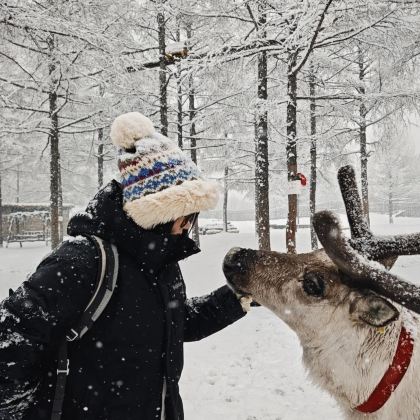 沈阳+长白山+延吉+哈尔滨7日6晚私家团 沈阳+长白山+延吉+哈尔滨7日6晚私家团
