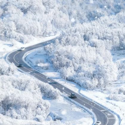 乌兰布统+木兰围场+坝上3日2晚私家团 乌兰布统+木兰围场+坝上3日2晚私家团