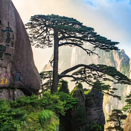 苏州+乌镇+杭州+千岛湖景区+黄山+婺源篁岭5日4晚跟团游 苏州+乌镇+杭州+千岛湖景区+黄山+婺源篁岭5日4晚跟团游