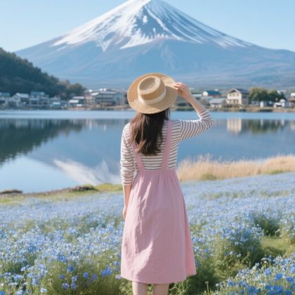 日本大阪+京都+奈良市+福冈+熊本市7日6晚跟团游 日本大阪+京都+奈良市+福冈+熊本市7日6晚跟团游