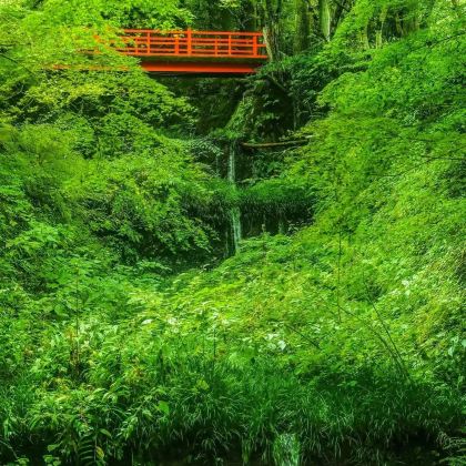 大阪+和歌山市+白滨町+高野町6日5晚拼小团 大阪+和歌山市+白滨町+高野町6日5晚拼小团