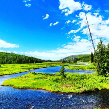 美国洛杉矶+拉斯维加斯+旧金山+黄石国家公园12日11晚跟团游 美国洛杉矶+拉斯维加斯+旧金山+黄石国家公园12日11晚跟团游